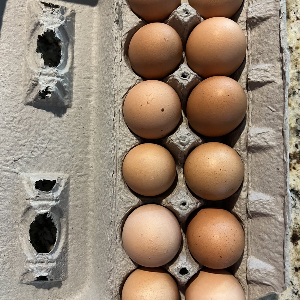 Humble Rooster Farm - Eggs - Farmers Market Near Me - Bertram, Texas Humble Rooster Farm - Eggs - Farmers Market Near Me - Bertram, Texas