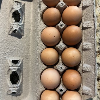 Humble Rooster Farm - Eggs - Farmers Market Near Me - Bertram, Texas Humble Rooster Farm - Eggs - Farmers Market Near Me - Bertram, Texas