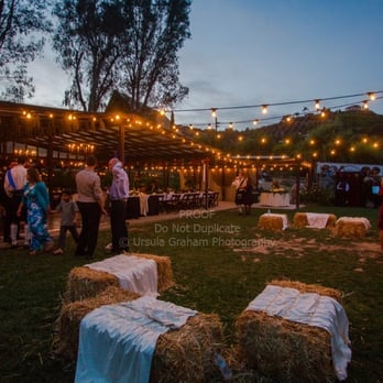 Quail Haven Farm - Horseback Riding Near Me - Vista, California