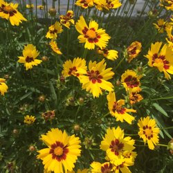Discovery Garden Park