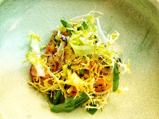 ZEST by Konishi by null