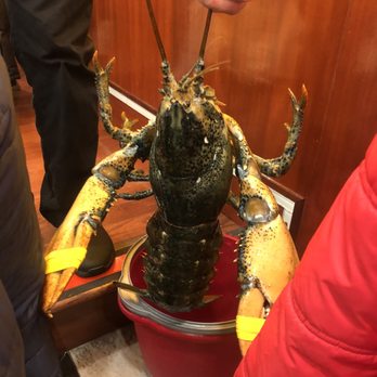Golden Palace - Dim Sum Near Me - Brooklyn, New York Golden Palace - Dim Sum Near Me - Brooklyn, New York