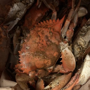Captain Mori’s Seafood - a crab in a bag - Food Trucks Near Me - Rockville, Maryland