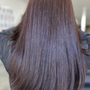 Photo of Cultivar Salon