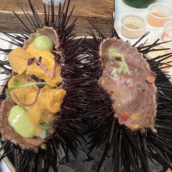 Holbox - Fresh uni - Latin American Near Me - Los Angeles, California