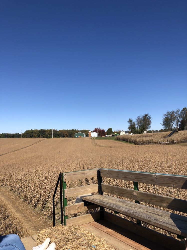 HURRICANE HILL FARM CLOSED Updated June 2024 17 Photos 704 E Reeceville Rd, Coatesville