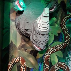 Legoland Discovery Centre - Willkommen im Dschungel