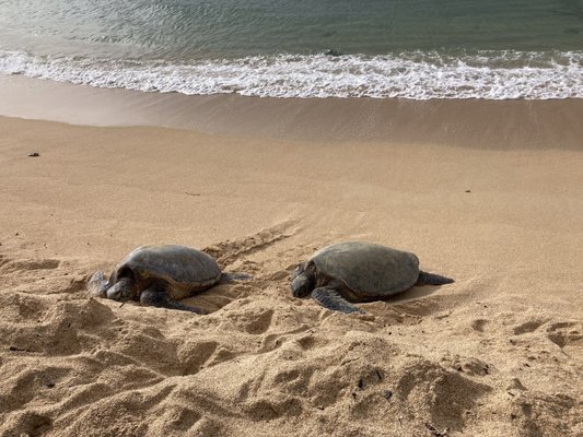 Baldwin Beach Park by null