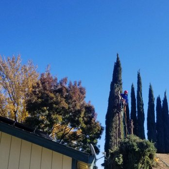 Yard Bros - Landscaping Near Me