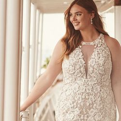 David's Bridal