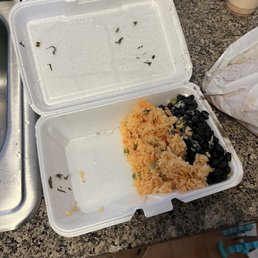 rice and beans in a styrofoam container rice and beans in a styrofoam container