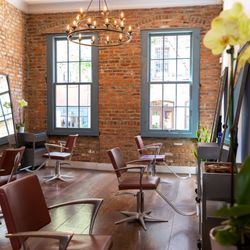 Damian West Salon