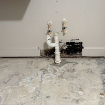 SWF Home Inspections - Mold - Home Inspectors Near Me - Venice, Florida SWF Home Inspections - Mold - Home Inspectors Near Me - Venice, Florida