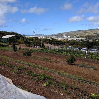Keiki & Plow - Pick Your Own Farms Near Me - Honolulu, Hawaii Keiki & Plow - Pick Your Own Farms Near Me - Honolulu, Hawaii