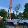 Photo of Morristown Tree Services