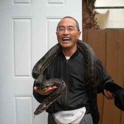 Suen Halton, DDS
