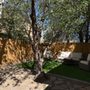Photo of Yilmaz Landscaping