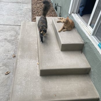 Sandoval Concrete - Patio steps after. - Masonry/Concrete Near Me Sandoval Concrete - Patio steps after. - Masonry/Concrete Near Me