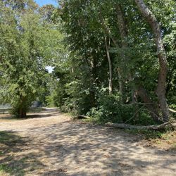 Forest City Park - Lake path