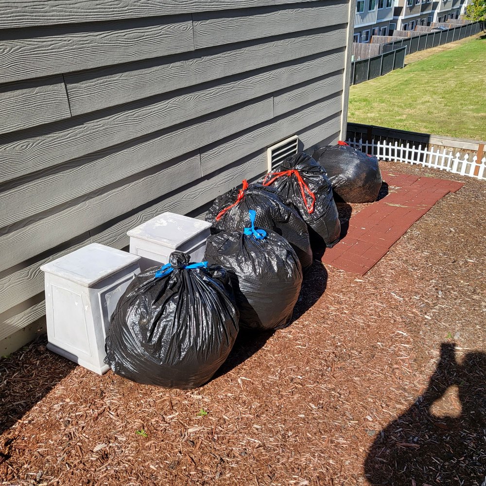 Hub City Junk Removal - veterans service organization in Albany, OR