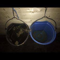 A Touch of Majic equestrian Center - Dirty water buckets of a sale horse they had, remained in the stall all day.