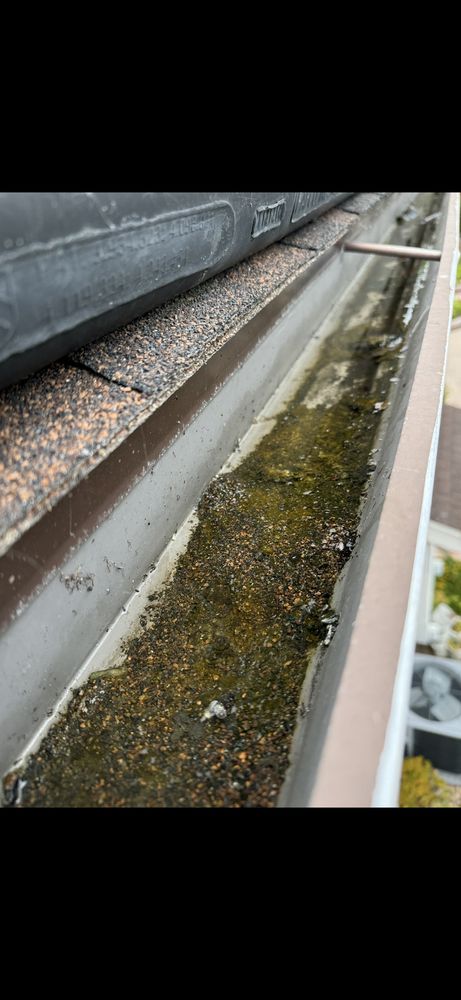 Slide of PALACIO Roofing