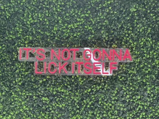 Morelia Ice Cream Paletas - Wynwood by null