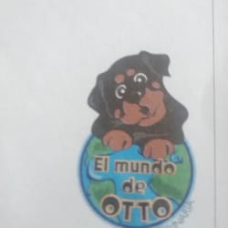 el Mundo de Otto - Su recetario me parecio super lindo! :)