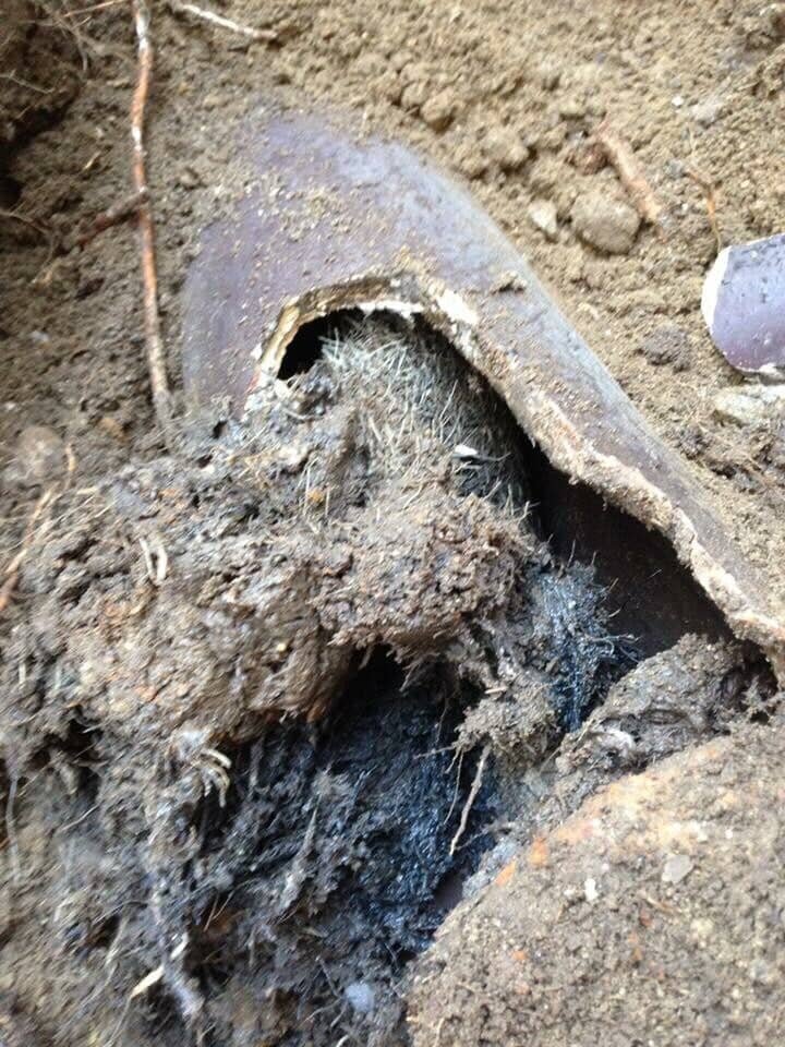 Slide of Professional Drain Services of Southern New England