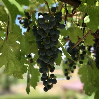 Inn At Churon Winery - Hotels Near Me - Temecula, California