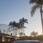 Photo of The Palms