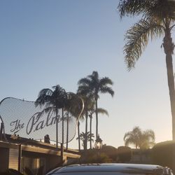 The Palms