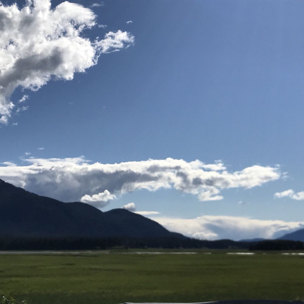 Unplugged Adventures - Beautiful day in Juneau, AK - Tours Near Me - Juneau, Alaska