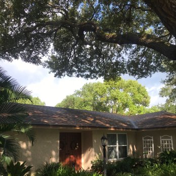 A Absolute Tree Service - Tree Services Near Me - Palm Harbor, Florida