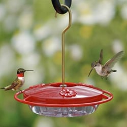 The Bird Garden - The best Hummingbird feeder (period).