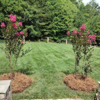 Green Hill Lawn Care - - Plants
- Mowing - Lawn Services Near Me Green Hill Lawn Care - - Plants
- Mowing - Lawn Services Near Me