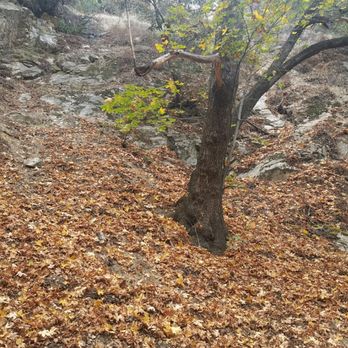Sturtevant Falls - Hiking Near Me