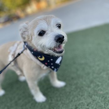 Sunset Veterinary Center - Veterinarians Near Me - Diamond Bar, California