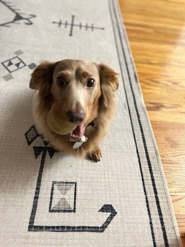 GENTLE CARE VETERINARY HOSPITAL 162 Photos & 183 Reviews 22755