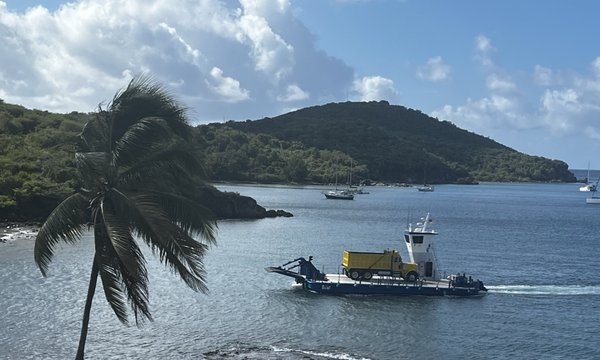 Olga's Fancy by null