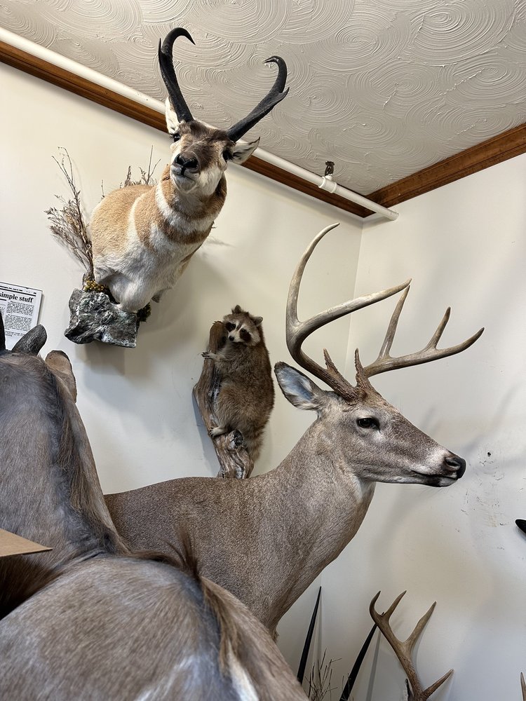 Petrick Taxidermy - taxidermy in Wilmington, DE