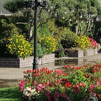 Jean Pierre Gardening - a garden with flowers and trees - Gardeners Near Me - San Francisco, California Jean Pierre Gardening - a garden with flowers and trees - Gardeners Near Me - San Francisco, California