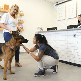 Scenthound Lenexa - Pet Groomers Near Me - Lenexa, Kansas Scenthound Lenexa - Pet Groomers Near Me - Lenexa, Kansas