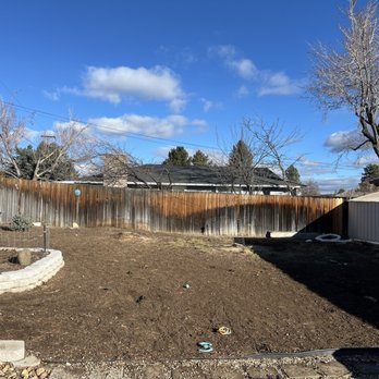 Ohana Tree Bros - After removal - Tree Services Near Me - Reno, Nevada Ohana Tree Bros - After removal - Tree Services Near Me - Reno, Nevada