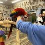 Todd Marcus Birds Exotic