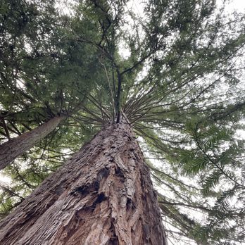 Bartholomew Park - Hiking Near Me - Sonoma, California