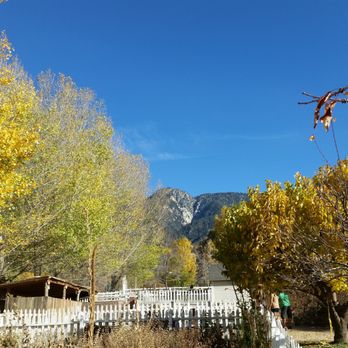Riley's Farm - a view of the mountains - Fruits & Veggies Near Me - Oak Glen, California