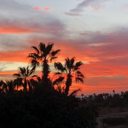 Eco Baja Adventures - Sunset while horseback riding