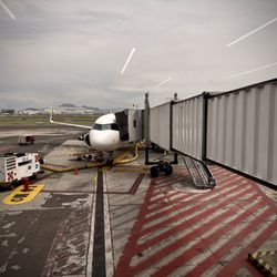 Volaris