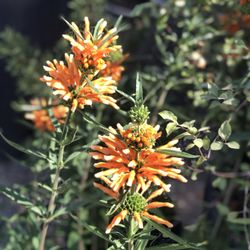 Nature's Best Nursery